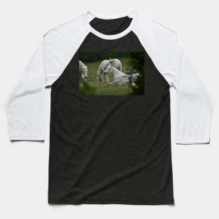 Wild Horses Baseball T-Shirt